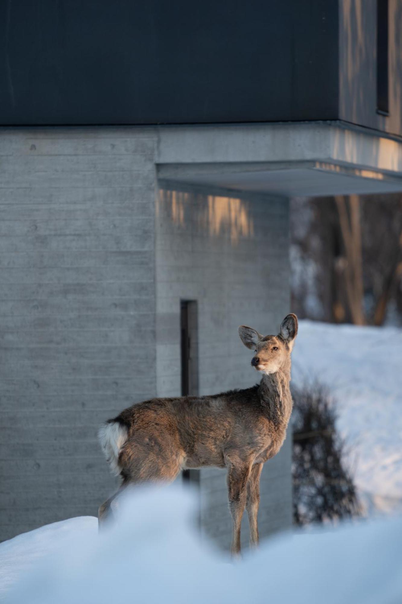 Chalet Ivy Jozankei Sapporo Dış mekan fotoğraf